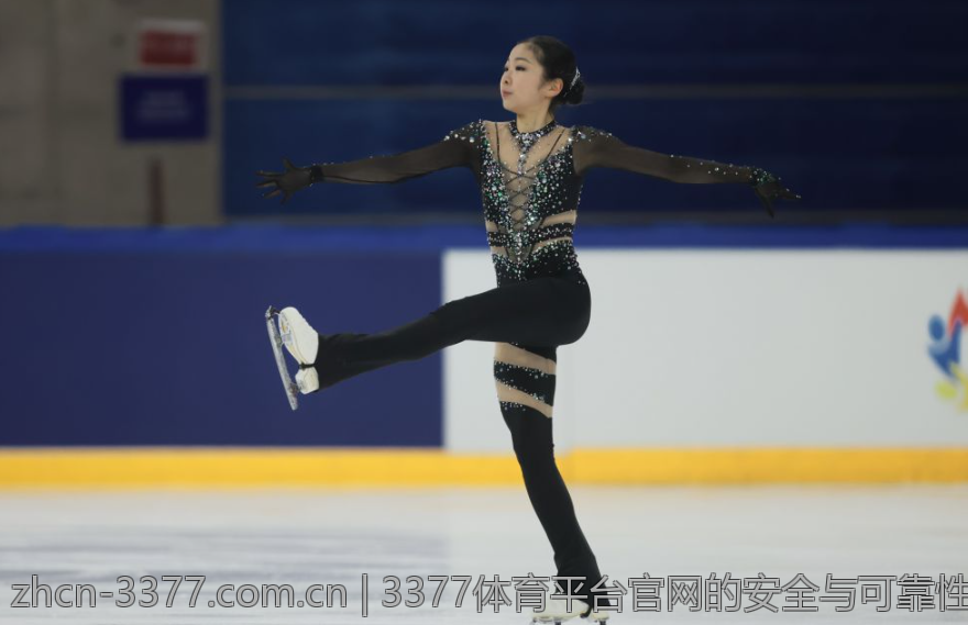 3377体育平台官网的安全与可靠性分析